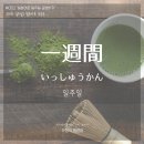 수목금프로젝트 브런치