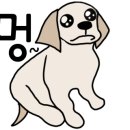 건대식품 이미지
