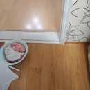 반달마을 삼익아파트 이미지