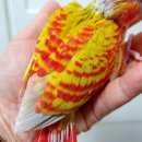 성조농장 이미지