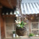 호수민박 이미지