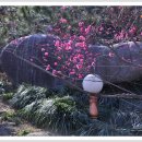 섬진농원 이미지