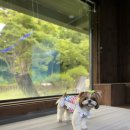 남이섬설3 이미지