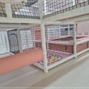 거제키즈풀빌라원더랜드 이미지