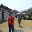예당버섯 이미지