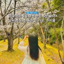 싱그러운 여름 플로리스트(5월) | 5월 히로시마 날씨 어떤가요? 여행 준비부터 기온 강수량까지