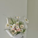 이플스튜디오 이미지