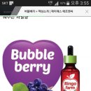 제이에스F&C 네이버블로그