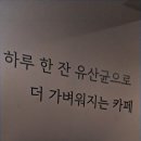 유산균 건강카페 이미지