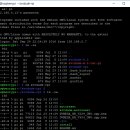 DVMega Firmware 업그레이드 이미지 파일 이미지