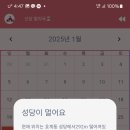 홀릭캣 이미지
