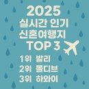 2025 신혼여행 어디가 제일 인기일까?