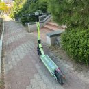 명품달인김밥(영일대) 이미지