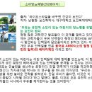 우유와 제1형 당뇨의 원인(닐 버나드 박사) 이미지