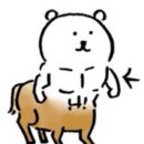 스포메타 이미지