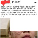 길고양이 귀엽다고 함부로 만져선 안 되는 이유 이미지