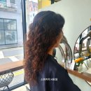 스파커치4