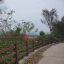 내대보건진료소 이미지