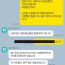 아이폰15프로 512GB 화이트 실물 후기 / 아이폰11 비교