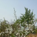 옥주농장 이미지