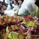 청계축산 이미지