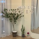 신당동요가 추천 소그룹 요가원 시나브로 요가
