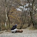 덕동리301캠핑장 네이버블로그