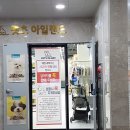 펫츠아일랜드 수월점 이미지