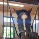 태영목장 이미지