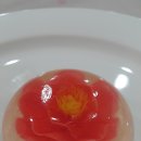 김미정플라워 Daum카페