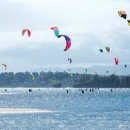 베스트투어 이미지