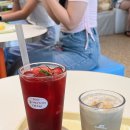 춘천 1박2일 여행 코스 추천(닭갈비/막국수 맛집, 숙소, 레일바이크, 카페 리버레인 등)