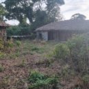 성읍리-3 이미지