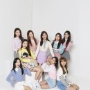미미분식 Daum카페