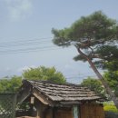 오산교 위(화암동굴 앞) | [강원도 2박3일] 정선·평창·영월 아이와 함께! '왕사남' 촬영지부터 첫 옥수수 먹방까지