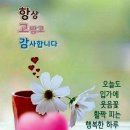 100세의료기 이미지