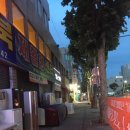 레드데미타스