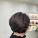 더이프헤어