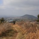 옥척지 이미지