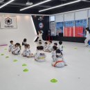 팀에이스태권도 이미지