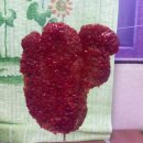 역곡초등학교 이미지