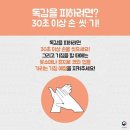 송내과