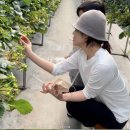 채림농장 이미지