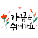 에그드랍NC 이미지
