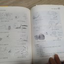 새화랑유치원 이미지