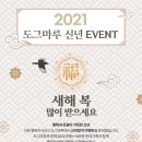 도그스쿨 이미지