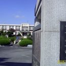 유등초등학교 이미지