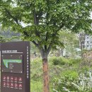 오산 세교 미용실 추천 아우라제이 오산세교점 민경 디자이너 레드 컬러 후기