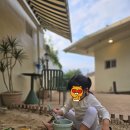 스테이 브라이튼 이미지