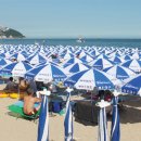 (주)케미그라스